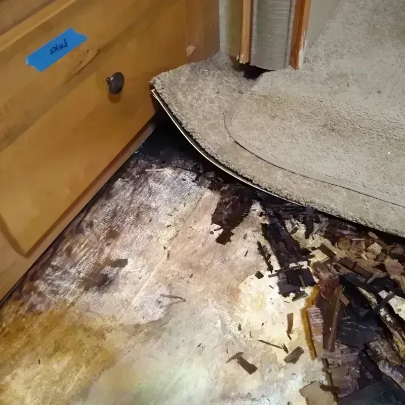 Wood Floor Water Damage in Blackwood, NJ